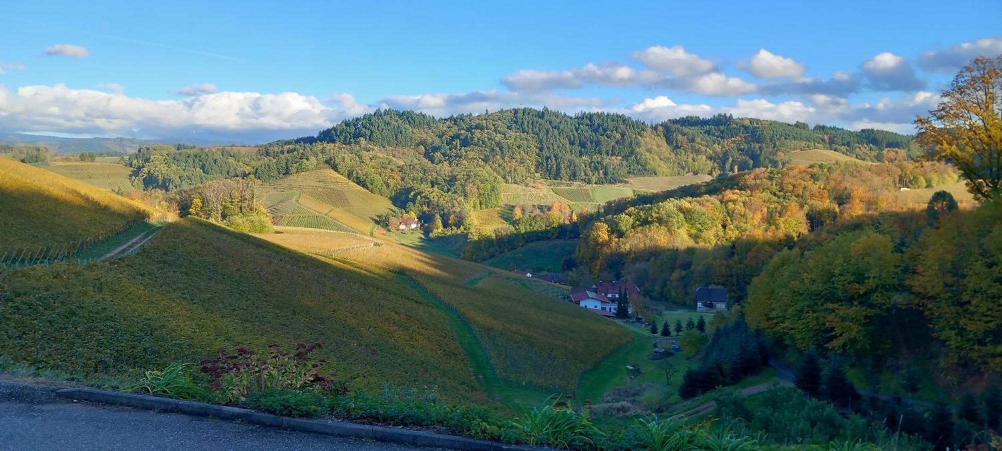 Appartamento Schwarzwaldglueck Oberkirch  Esterno foto