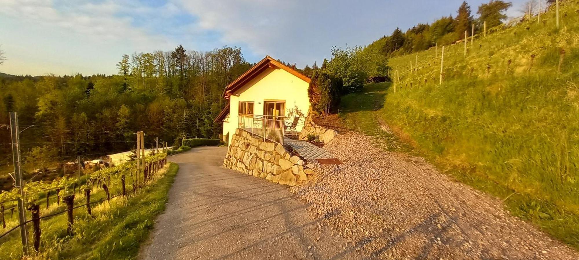 Appartamento Schwarzwaldglueck Oberkirch  Esterno foto